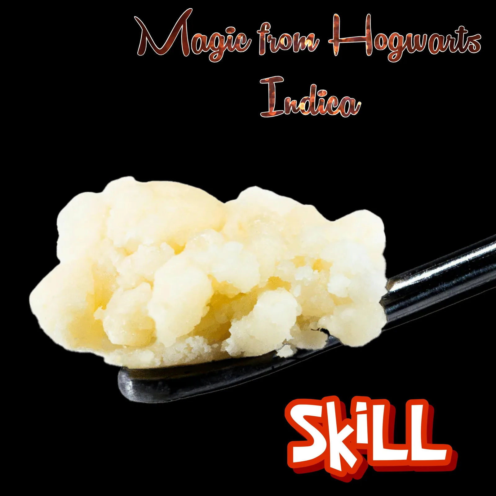 Magic From Hogwarts