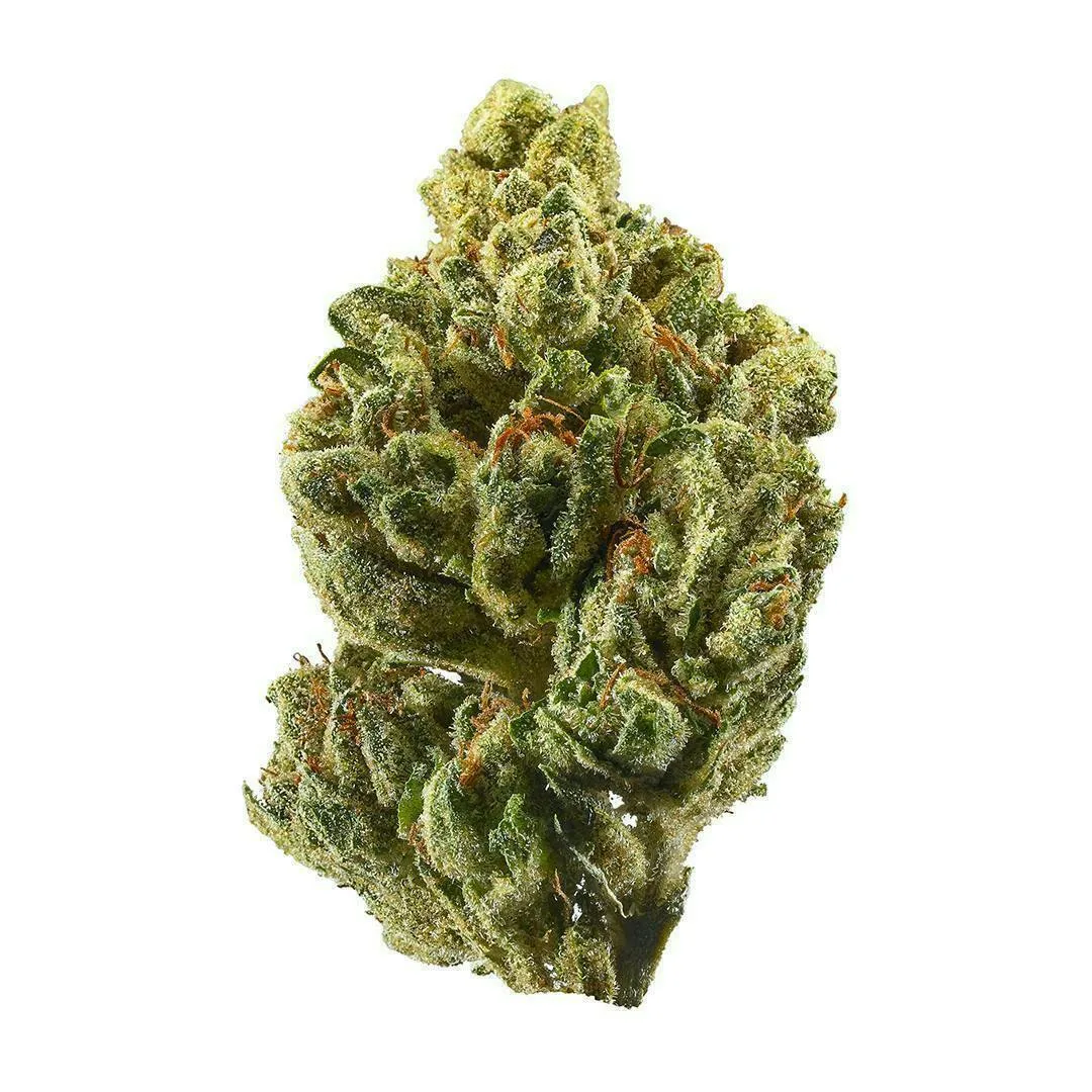 Hells Fire OG 28 Indoor Bigs - Indica - 31.22% THC