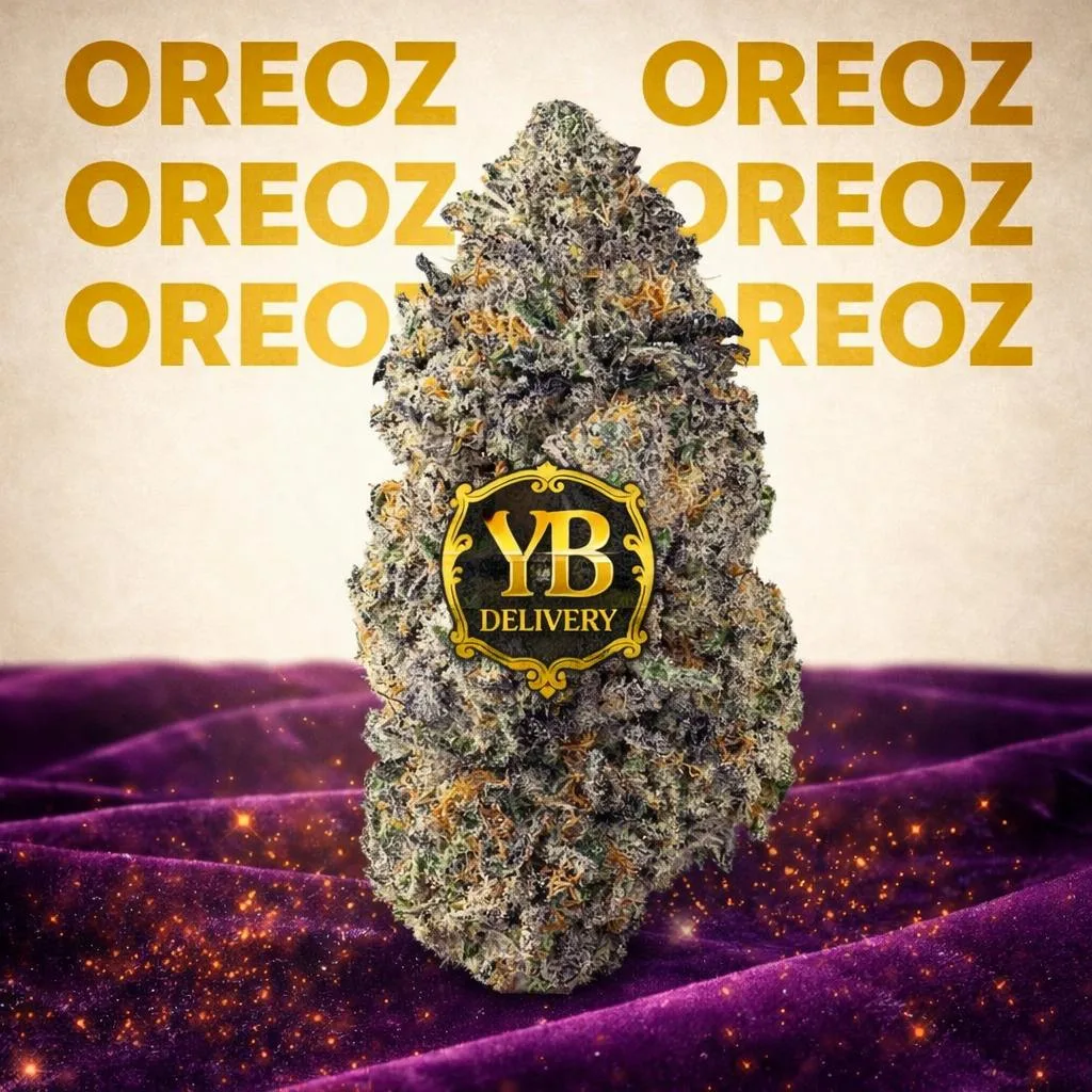 YB | OREOZ 30.84% (14G TOP-SHELF FLOWERS).INDICA