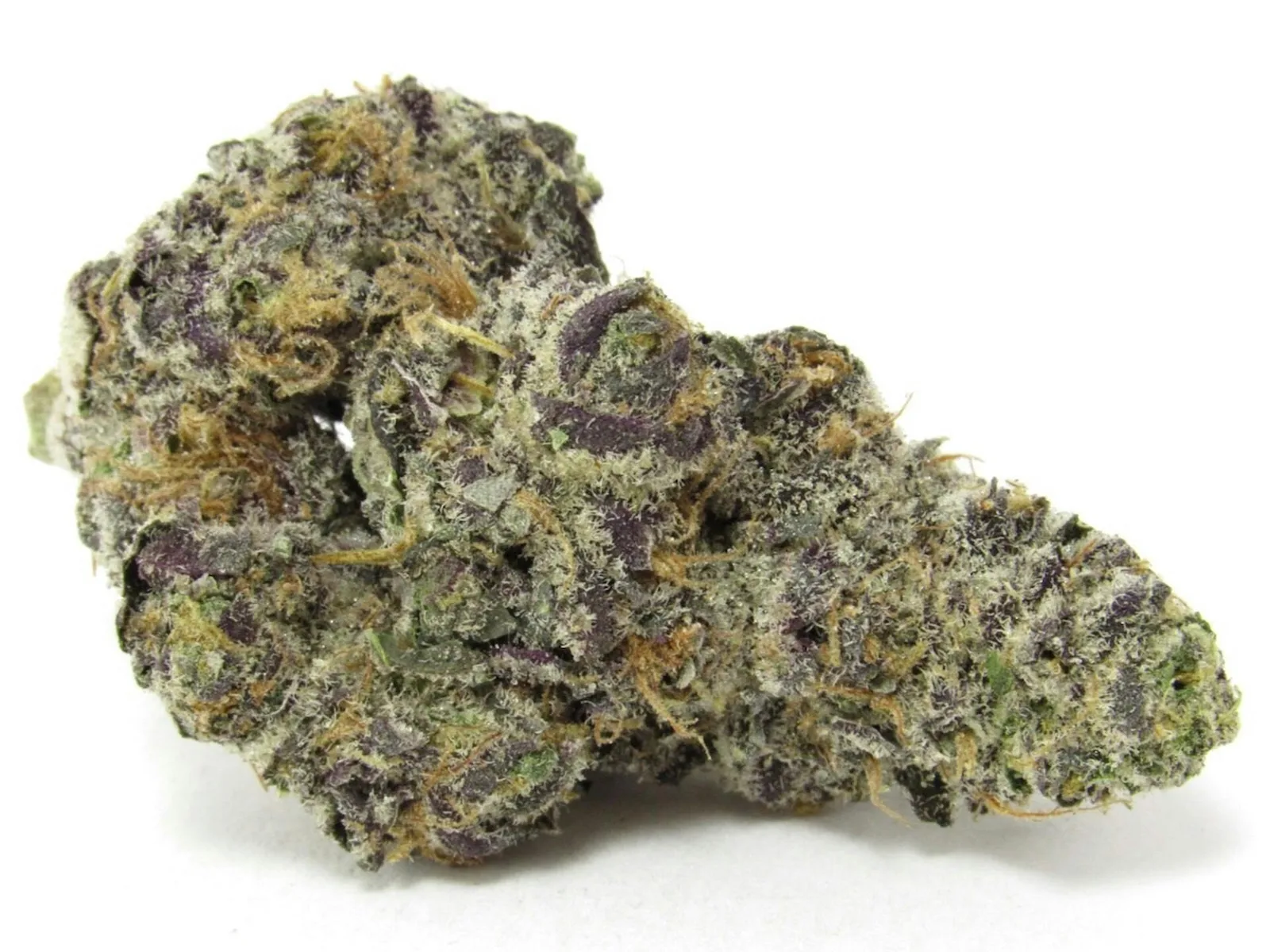 Purple Urkle Indica 14G Premium