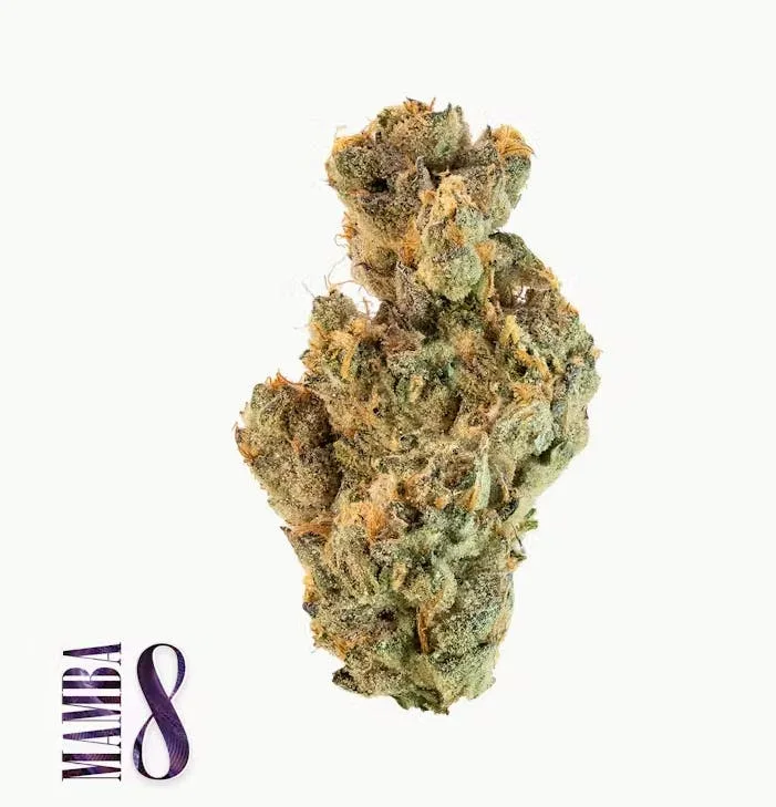 MAMBA 8 - 5G - HYBRID - TRADITIONAL CO.