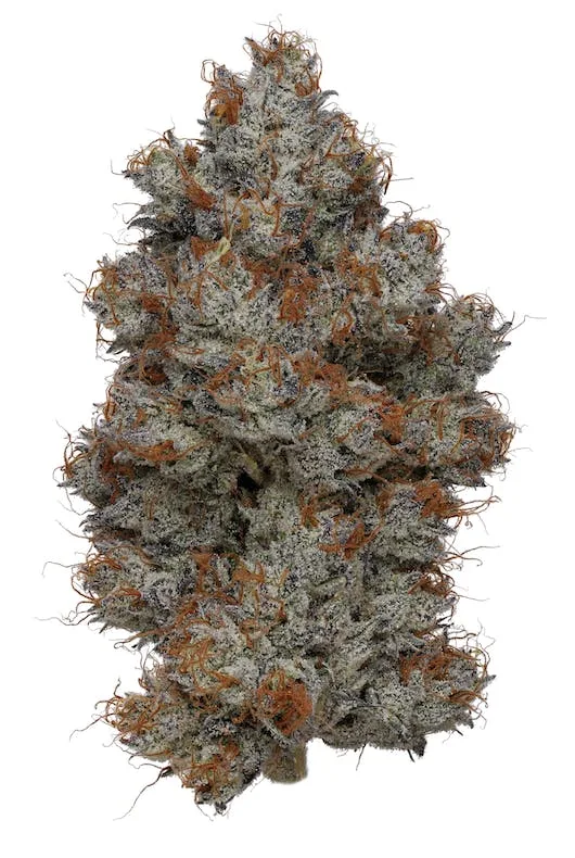 Smacked Studios | Sideshow | Big Buds | 14g