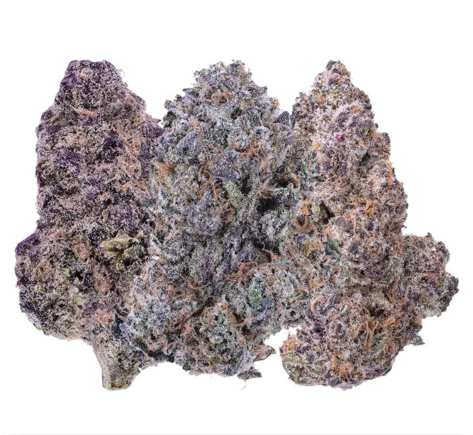 14G (1/2 Oz) - Granddaddy Purple x Z kittlez - 26' Exclusive Flower - Exotic