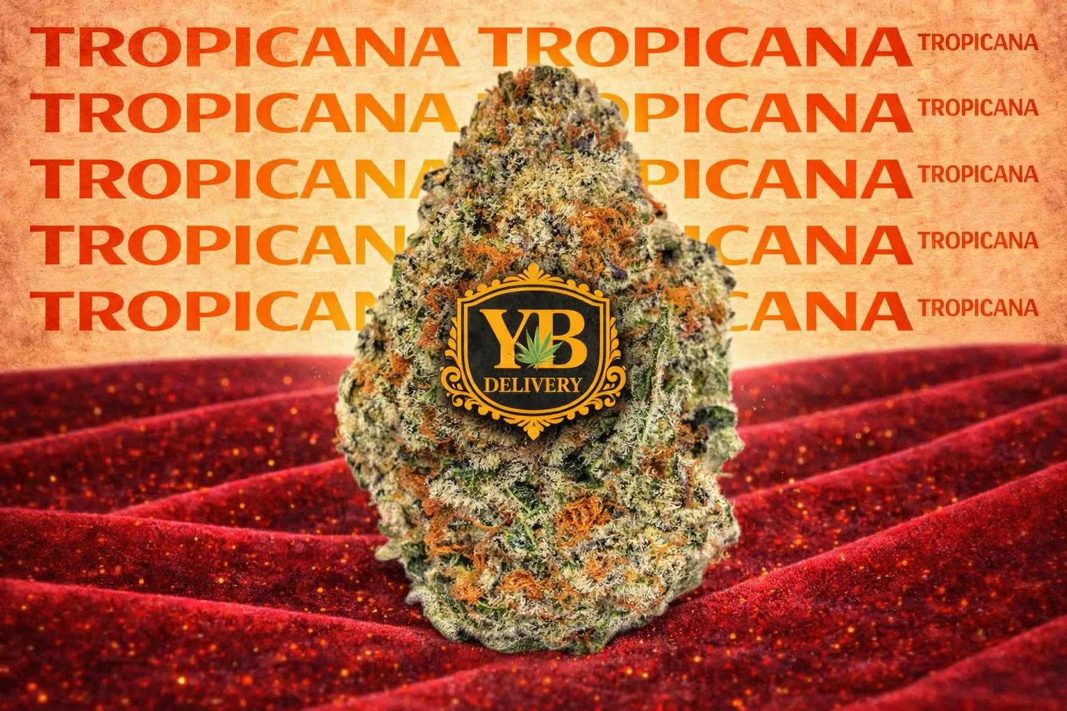 YB | TROPICANA 29.97% (14G PREMIUM FLOWERS).SATIVA