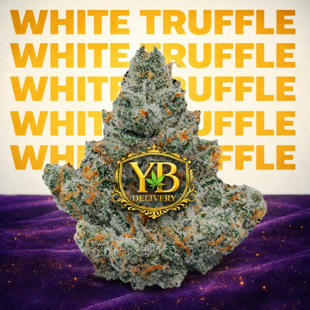 YB | WHITE TRUFFLE 34.26% (7G PREMIUM FLOWERS).INDICA
