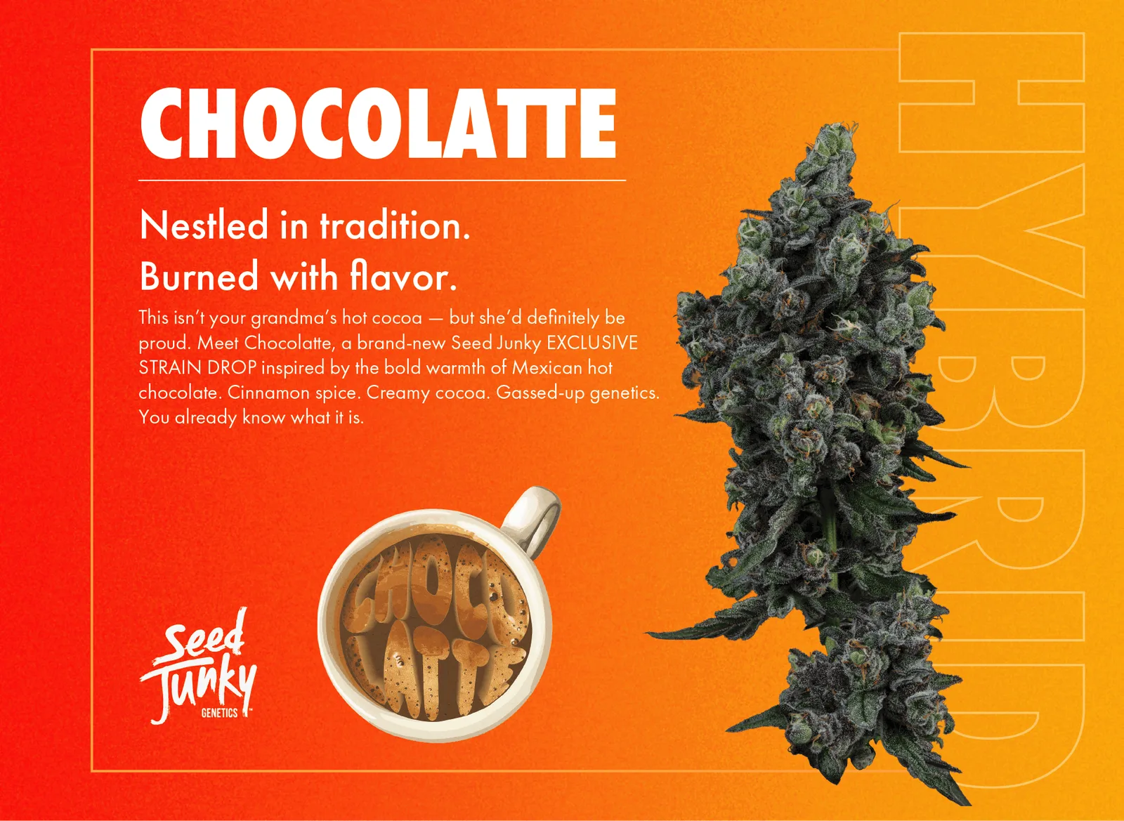 Seed Junky | Choco Latté | Big Buds