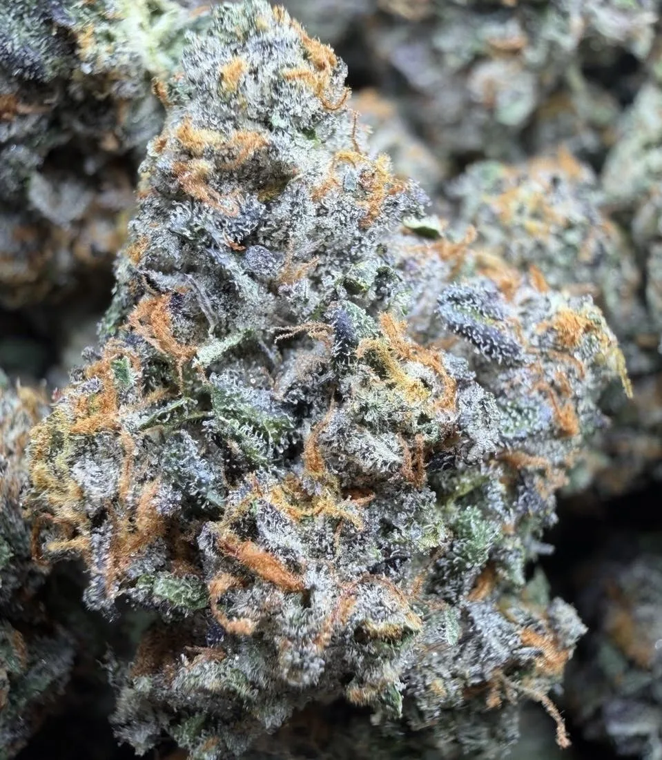 Red Velvet Indoor $89/$129 Oz