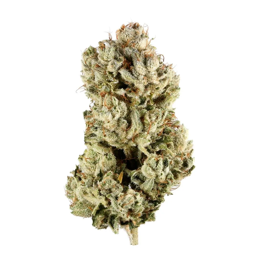 FIRESTAR - CHEESE DANISH