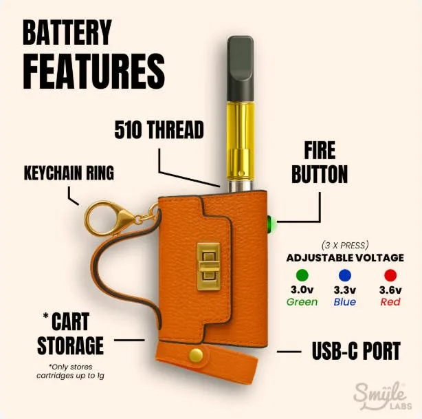 SMYLE - PENJAMIN PURSE BATTERY