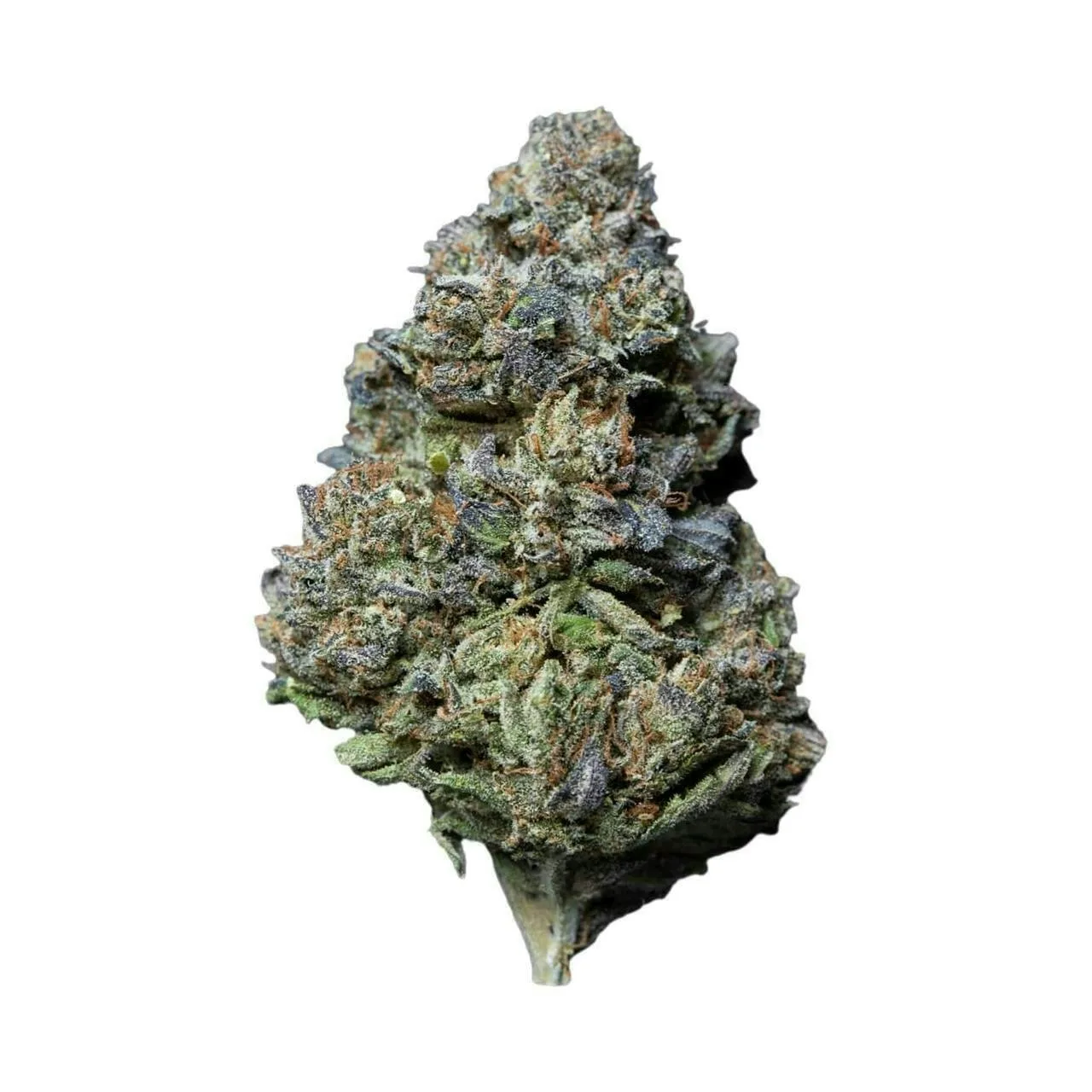 KUSH MINTZ - EX PREMIUM SHELF FLOWER