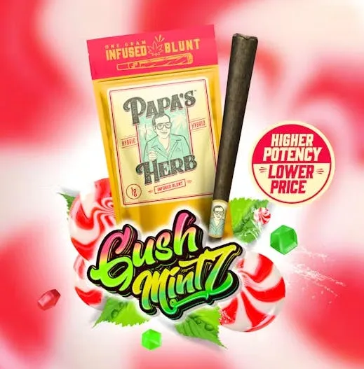 Papa's Herb | Blunt | Gush Mintz | H | 1g
