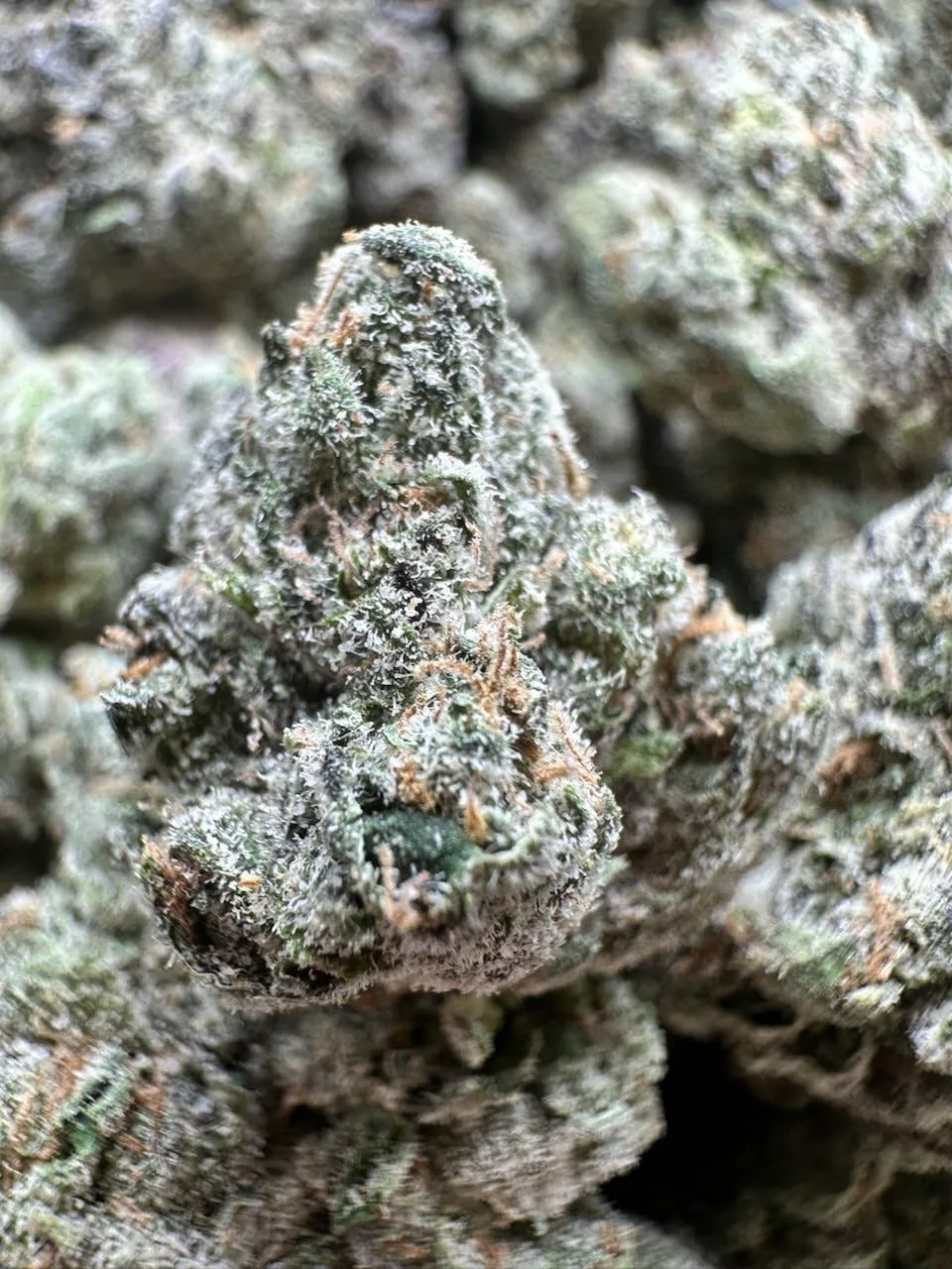 Strawberry 🍓Milkshake 🥤Indoor $79 half/$115 Oz
