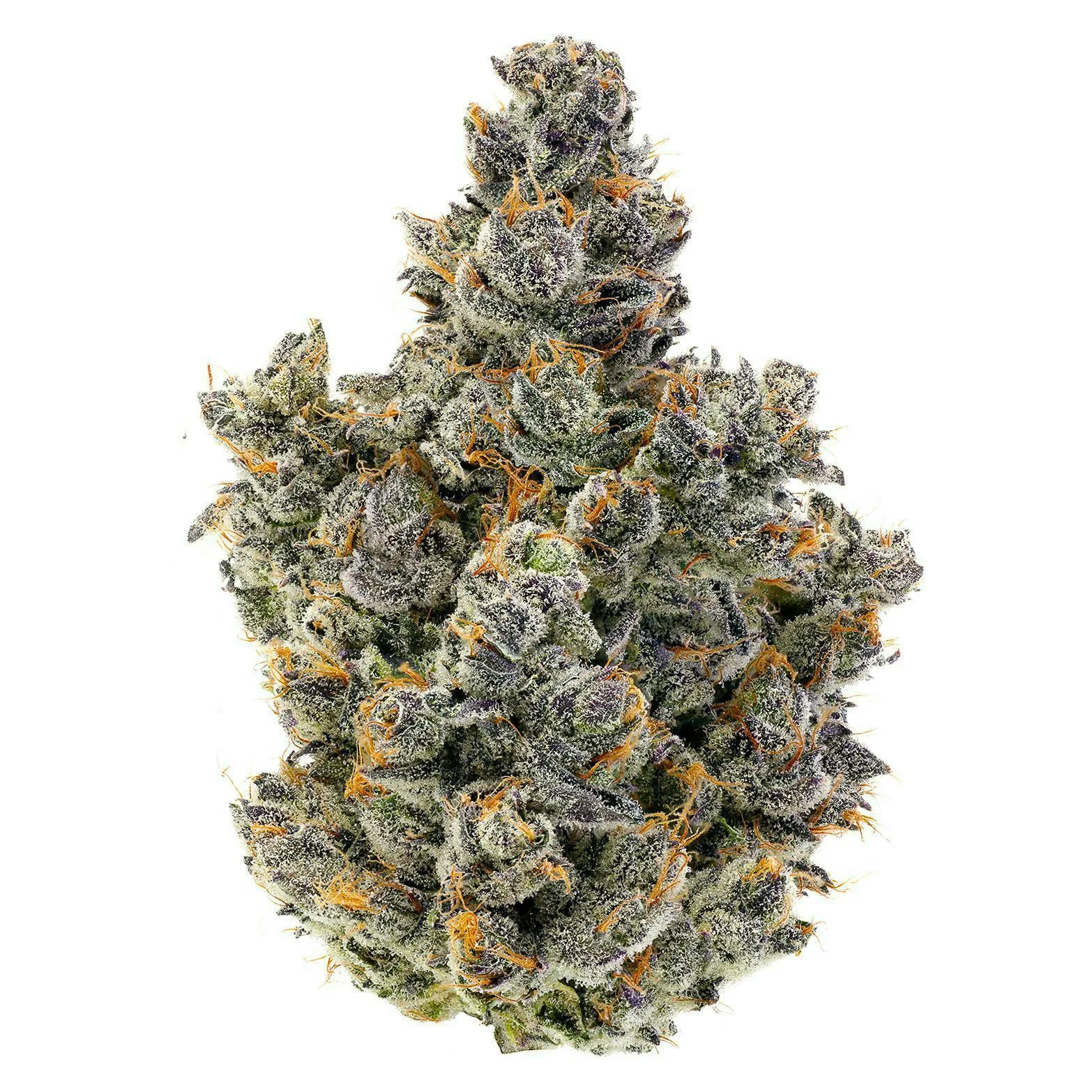 Fig Farms | Momochi | Big Buds