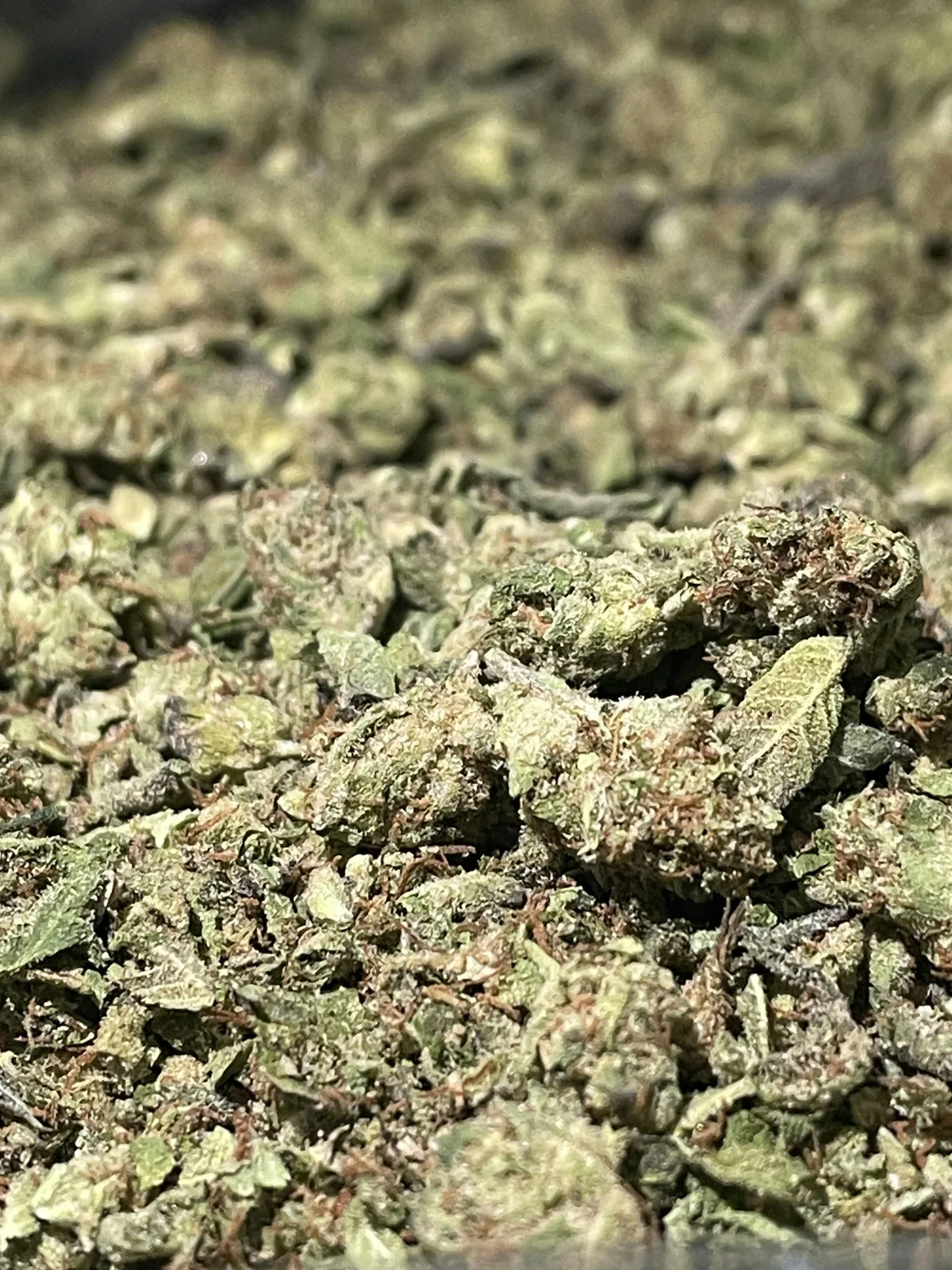Private Reserve Shake 14g (Indica 31.9%)