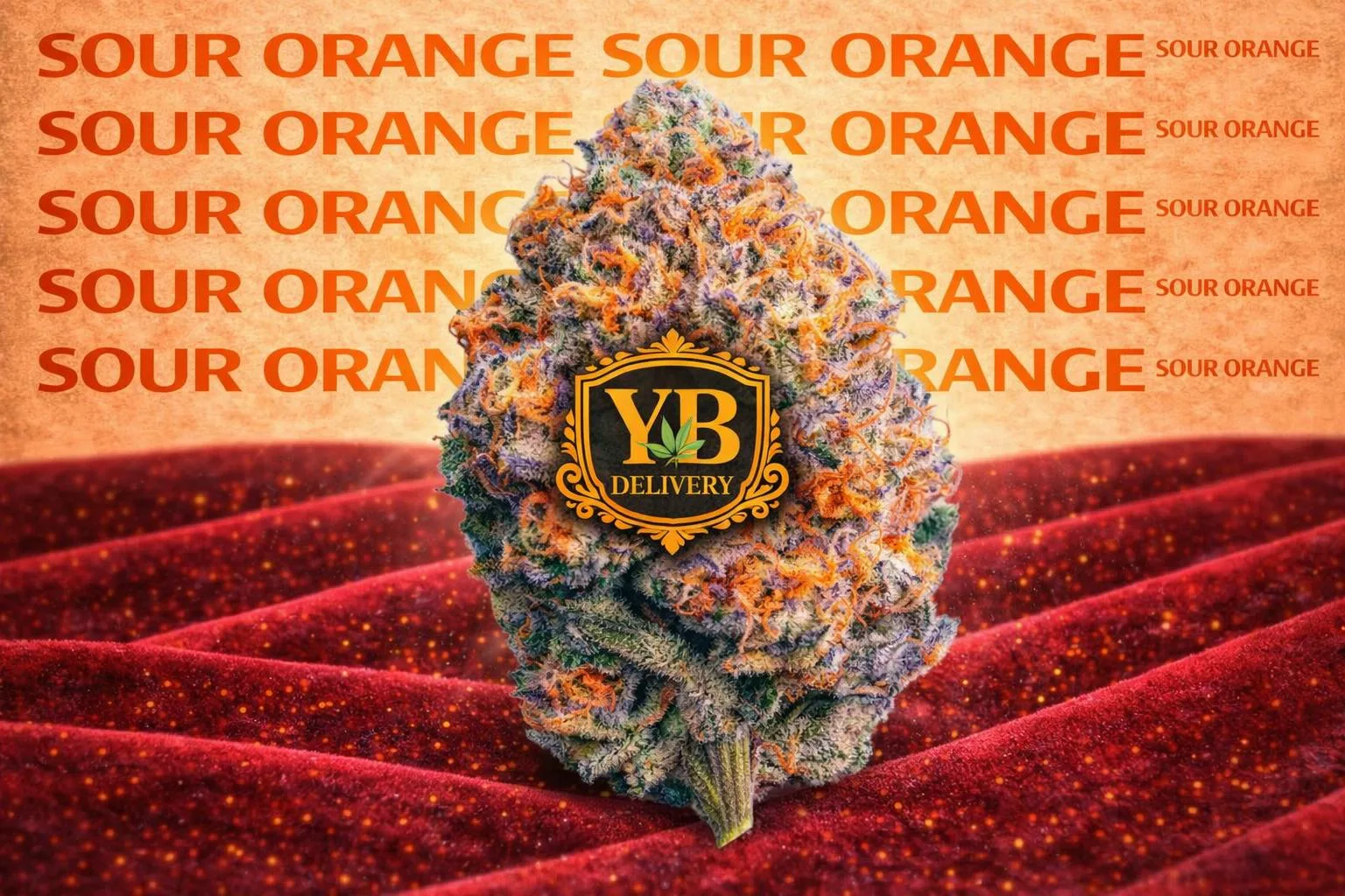 YB | SOUR ORANGE 33.07 (7G TOP-SHELF FLOWERS).SATIVA