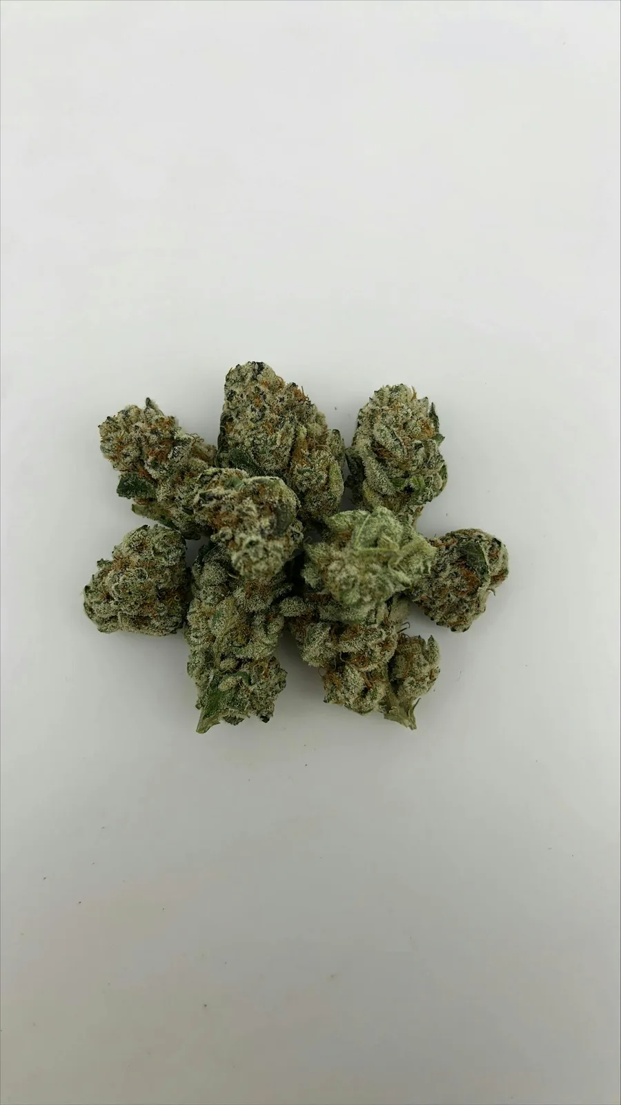 Dime Bag | Z'lato | Big Buds | 3.5g