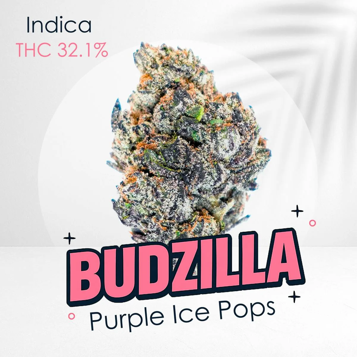 Purple Ice Pops -Premium shelf
