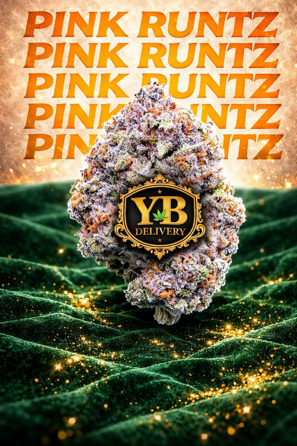 PINK RUNTZ 33.12% (3.5G TOP-SHELF FLOWERS).HYBRYD