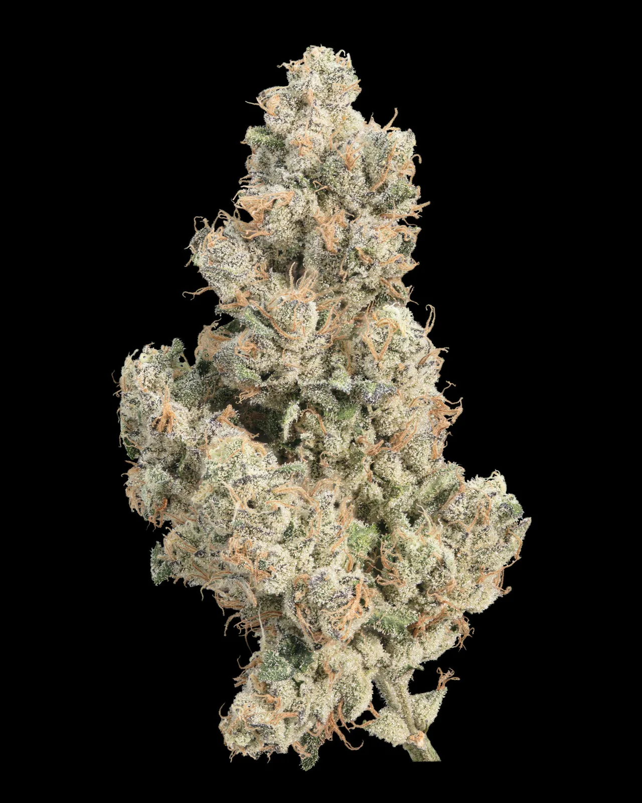 Sour Cherriez