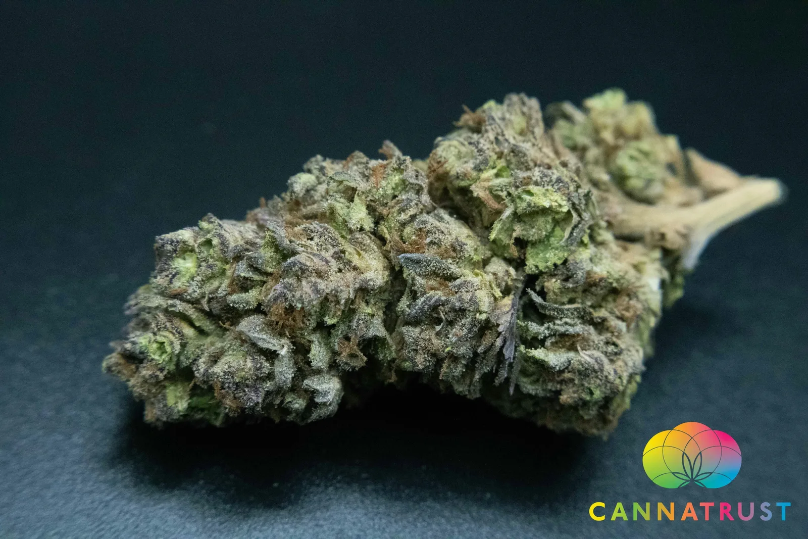 Vice City 1/2 Ounce/14Grams(28%THC, Hybrid)