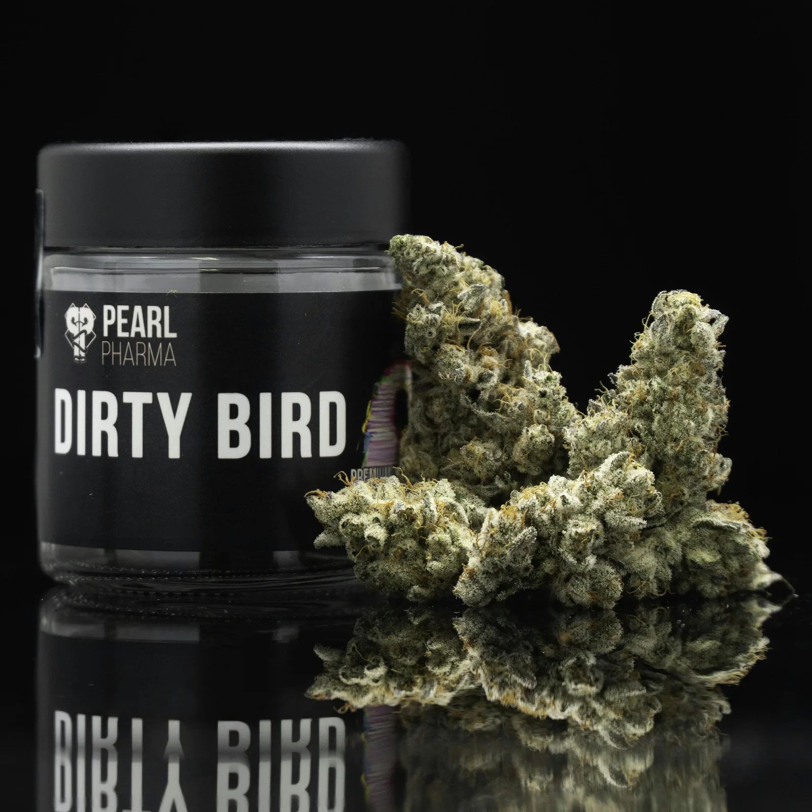 Dirty Bird