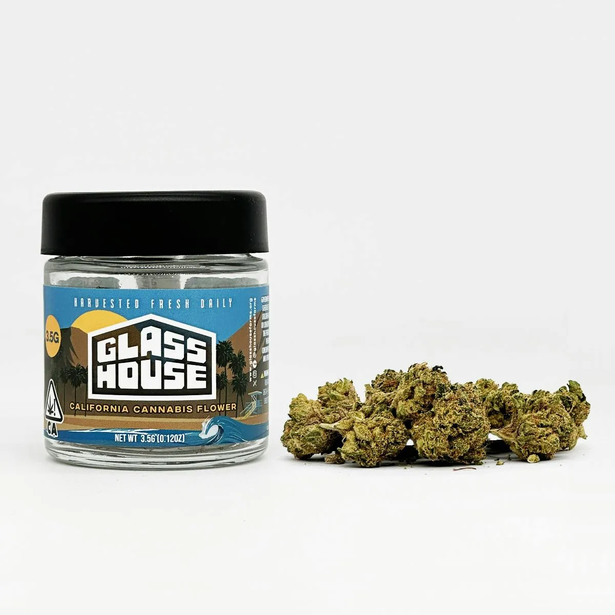 Glass House Farms - Flower - Knights Templar 3.5g