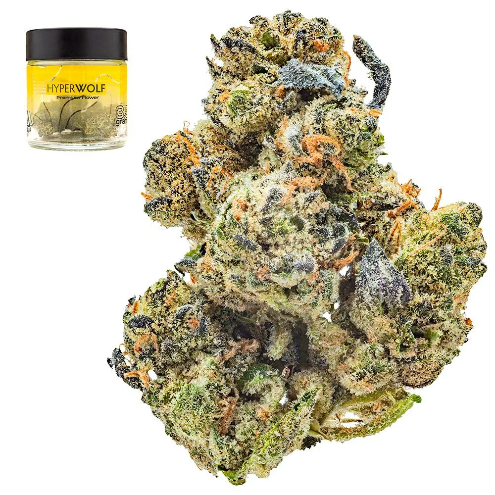 Purple Elephant