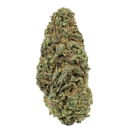 Sour Haze - Sativa - 30.95% THC