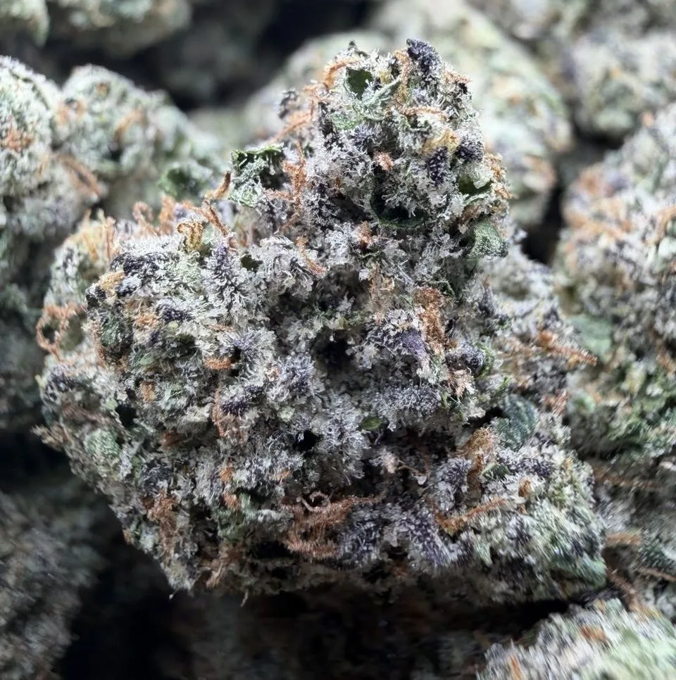 Yuzu 🍋🟩 Candy 🍬 Indoor $89/$129