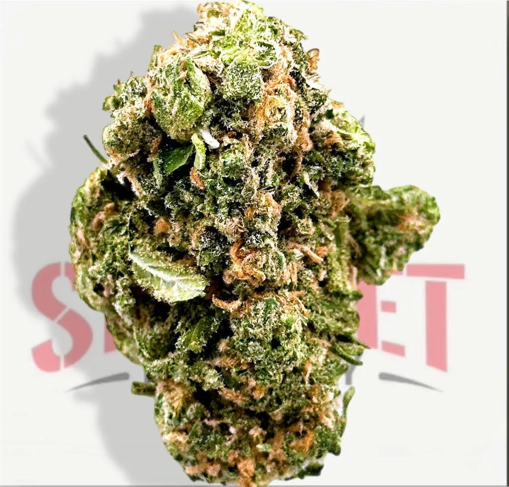 DREAM BEAVER (29.83%) - SATIVA - OZ SPECIAL