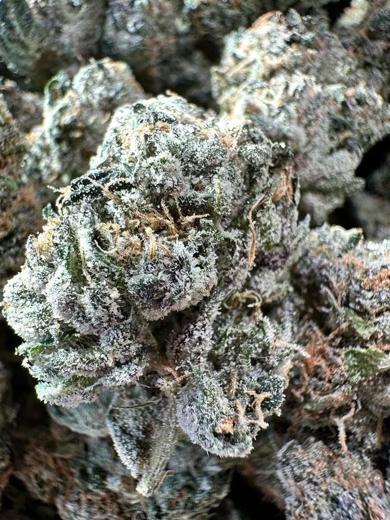 Space Runtz 🟣 Indoor $89 half/$119 Oz