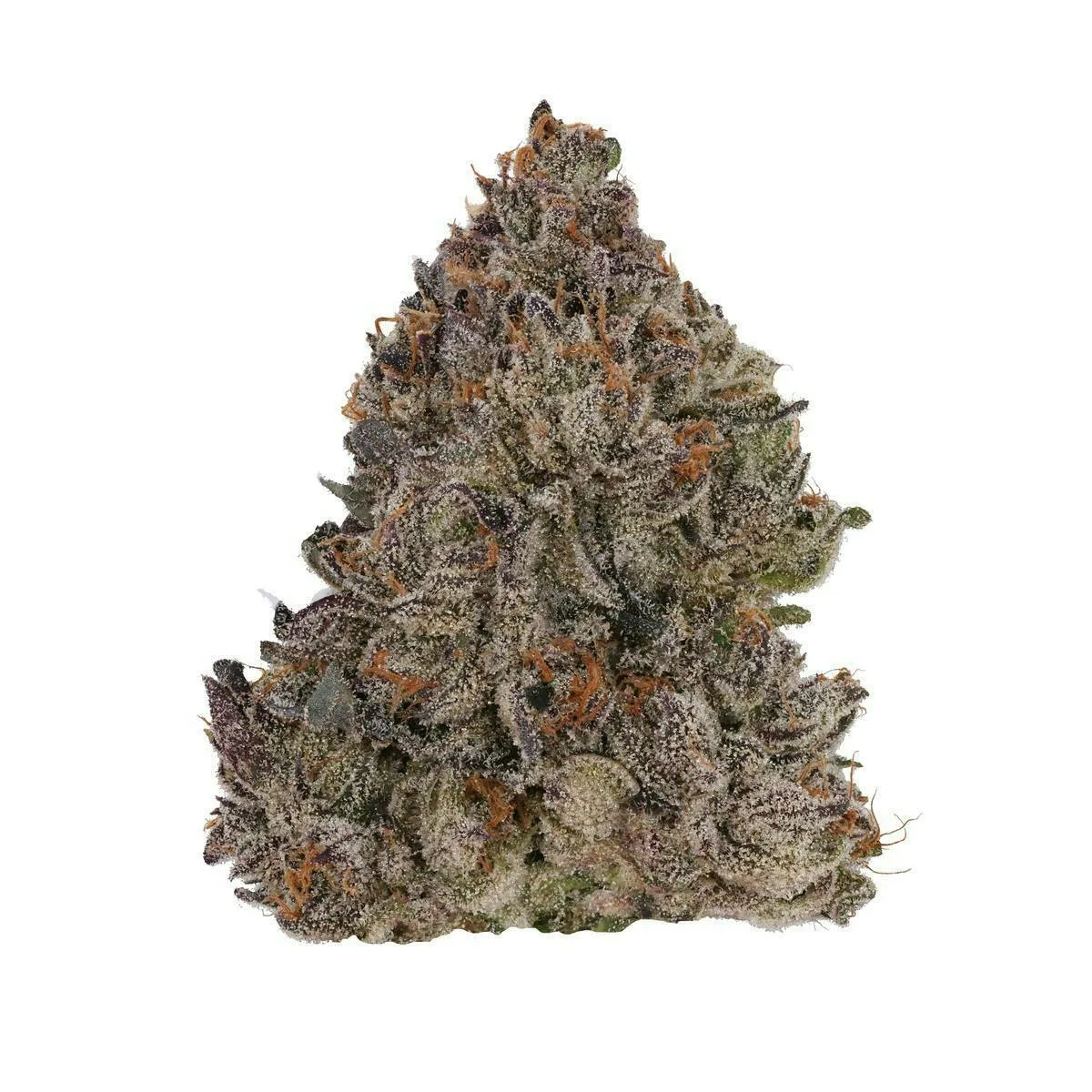 Fig Farms | Lemon Cherry Face | Big Buds