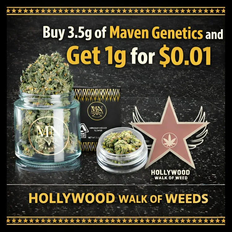 Maven Genetics 1g Flower - Blue Agape | P r o m o t i o n I t e m