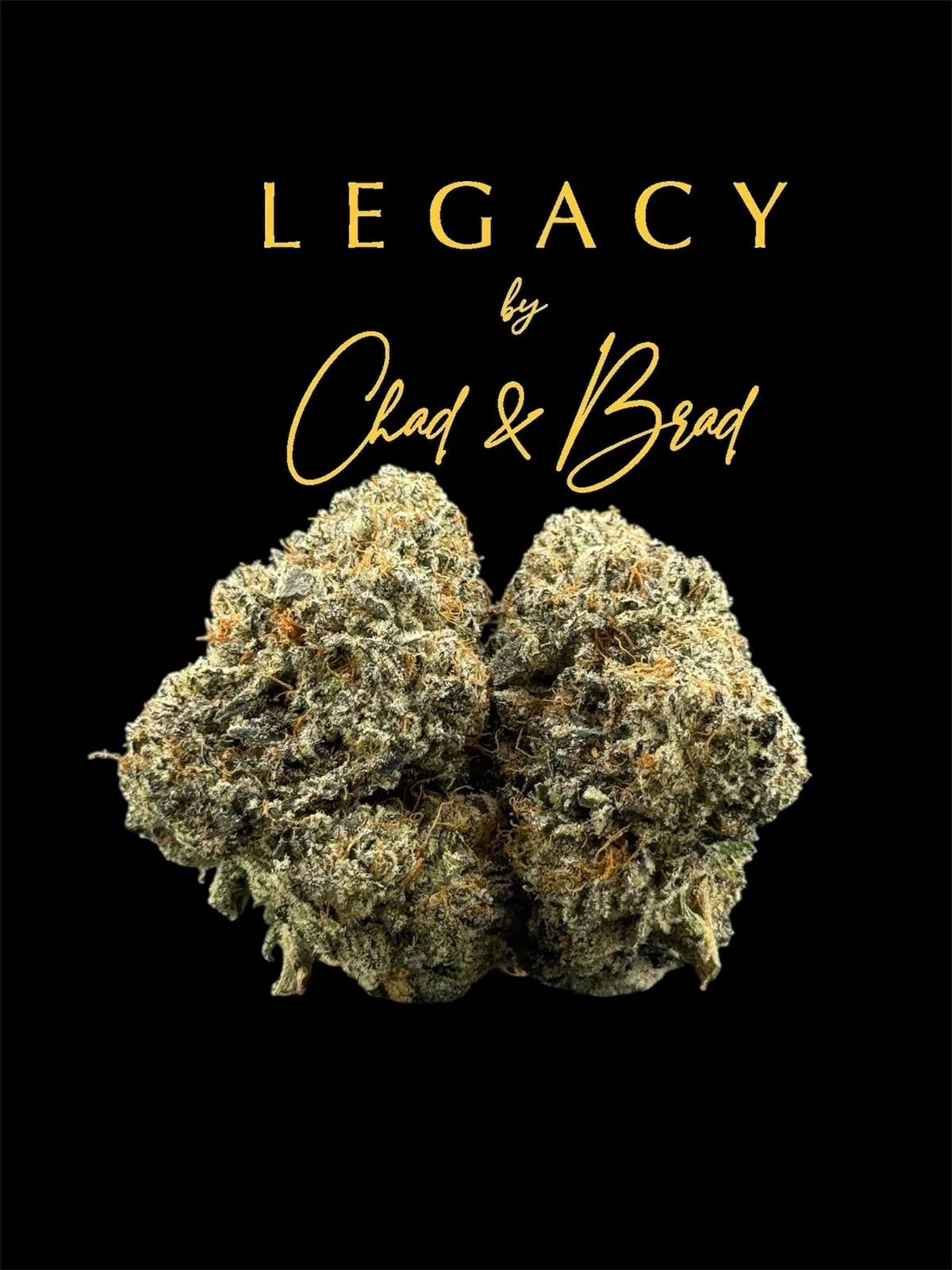 Cherrylicious - Legacy 4g - 33.87%