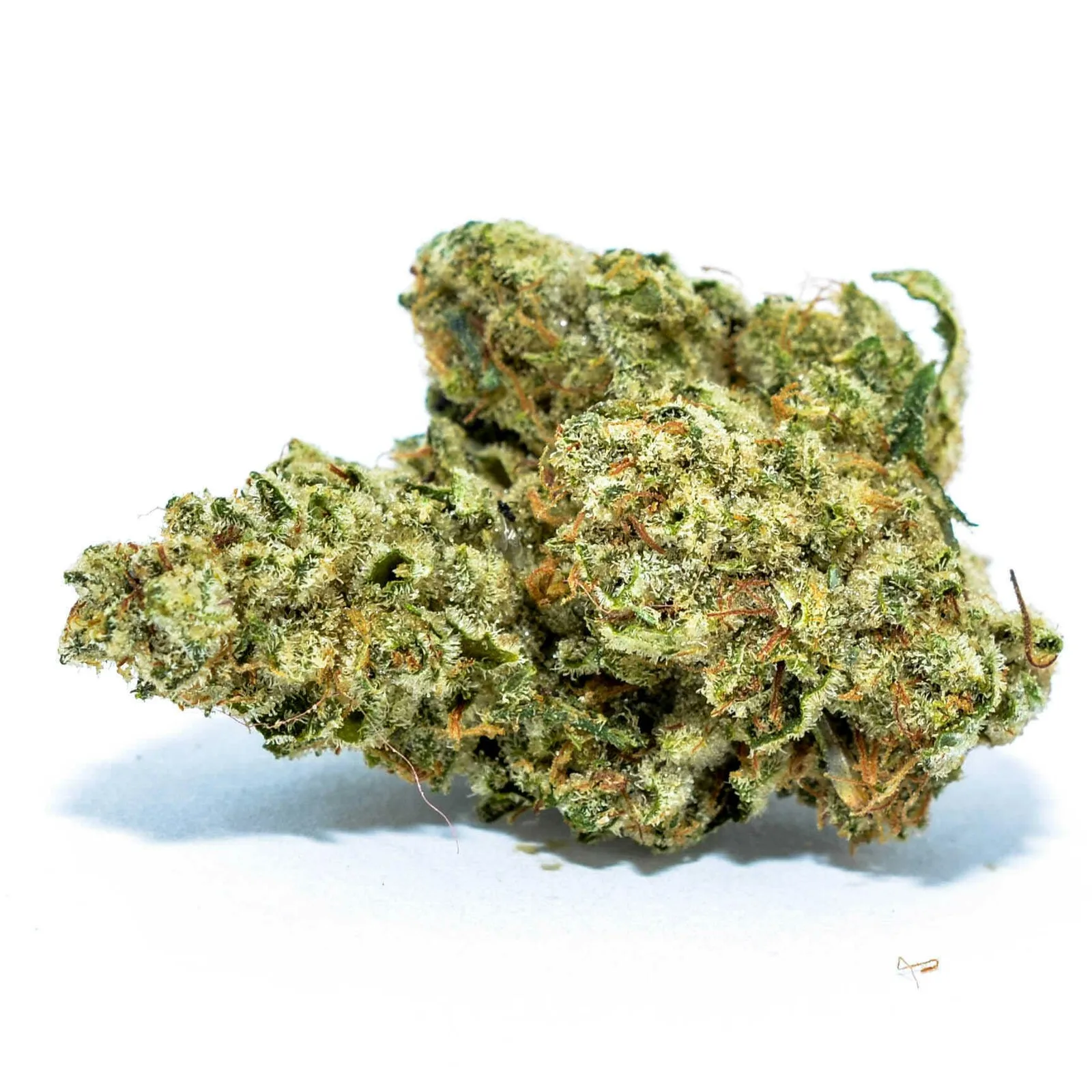 Flower Factory - Jack Herer - Half Ounce