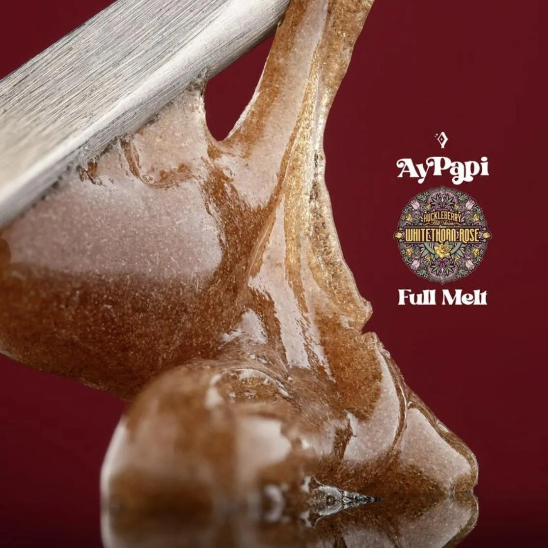 Ay Papi | Whitethorn Rose | Full Melt | 1G
