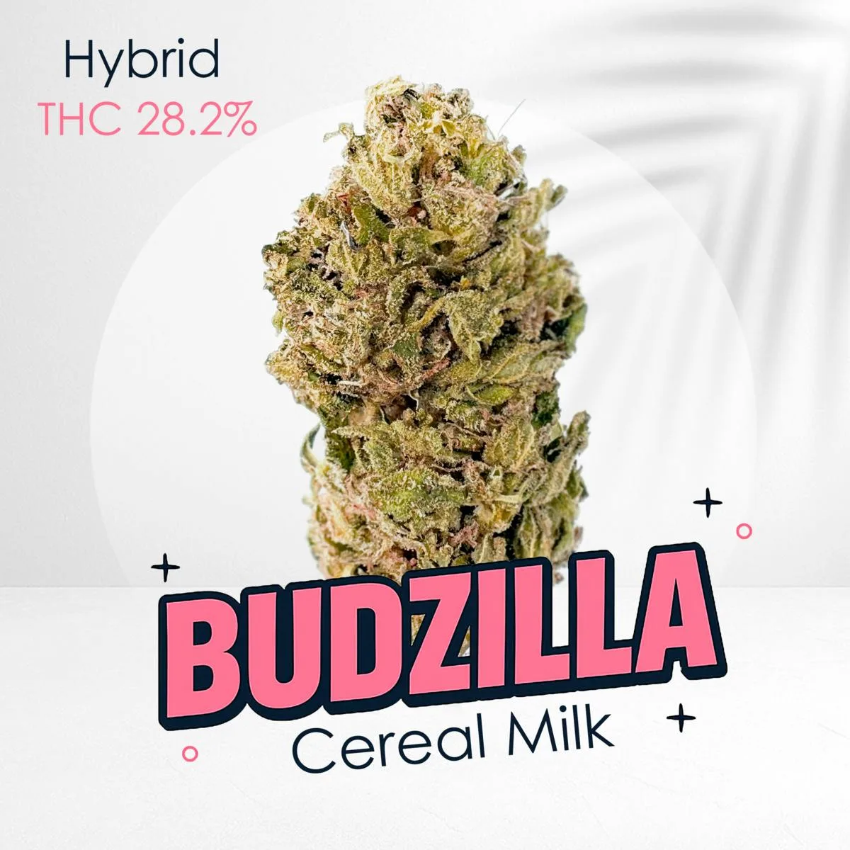 Cereal Milk -Premium shelf