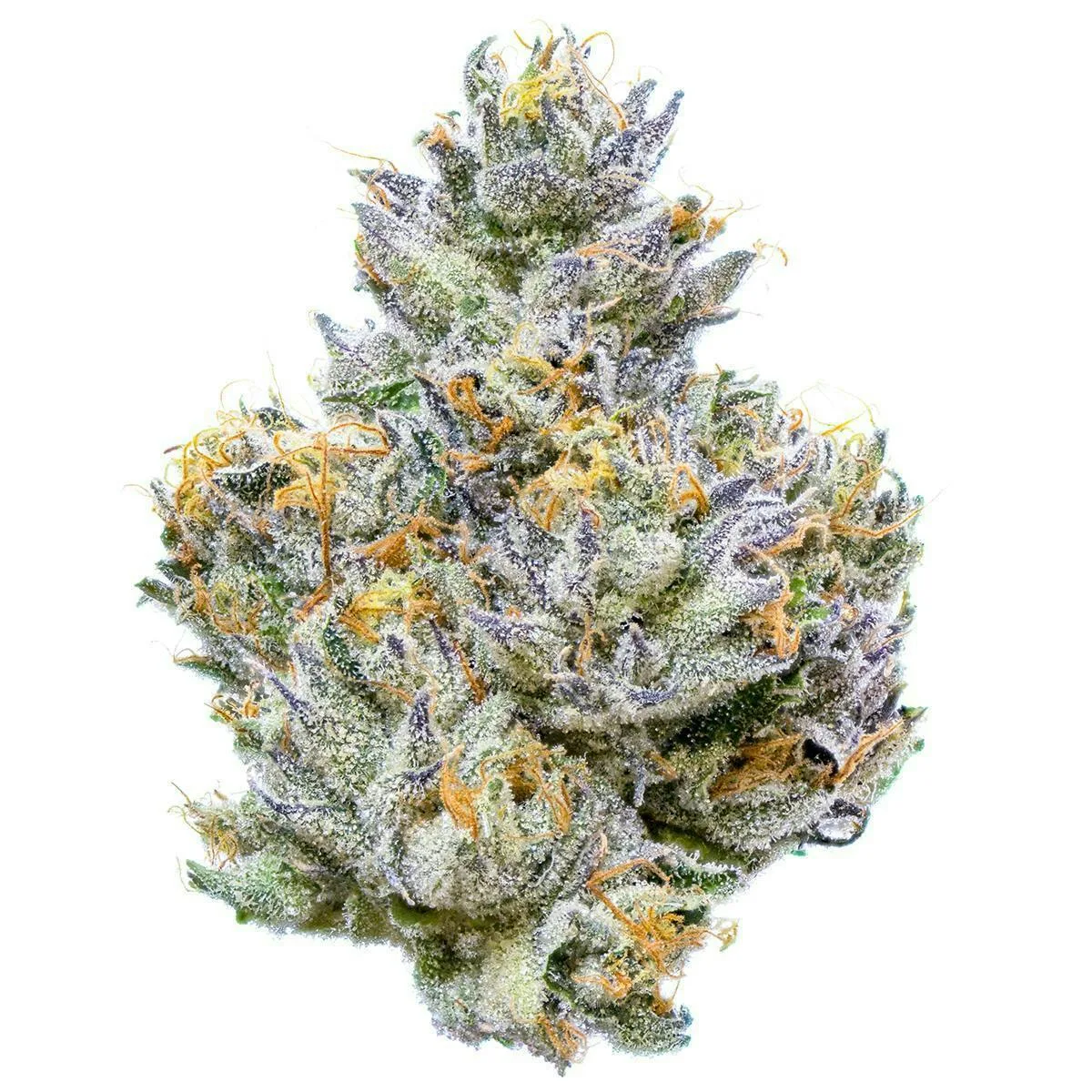 Fig Farms | Mad Dog 64 | Big Buds