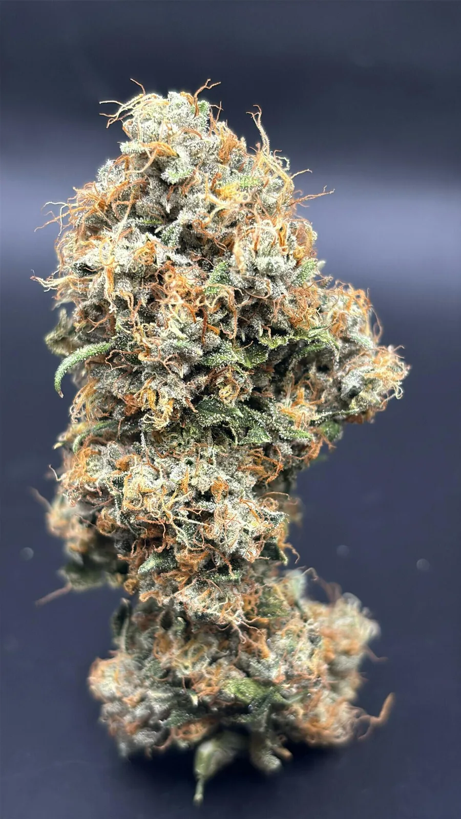 $100 OG