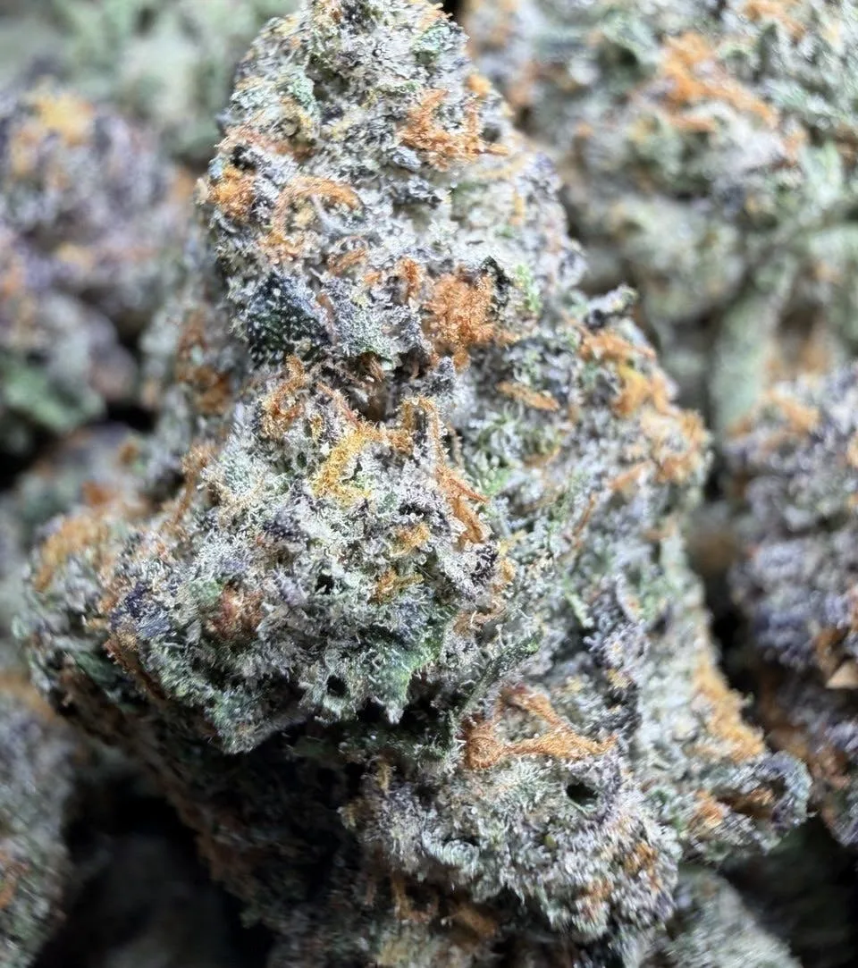 Pink😋Guava🍐 $89/129 indoor