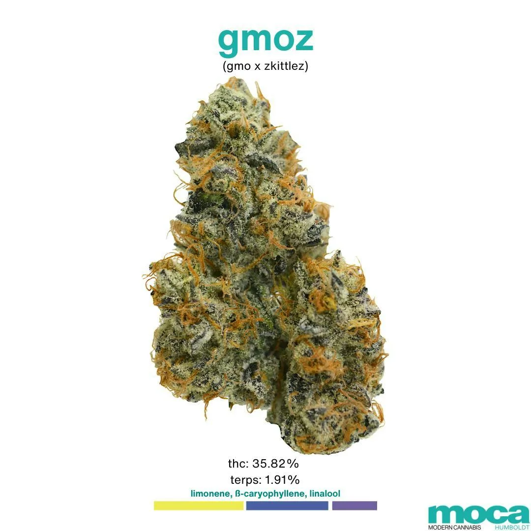 MOCA Flowers - 1/8th Mylar Bag - GMOZ
