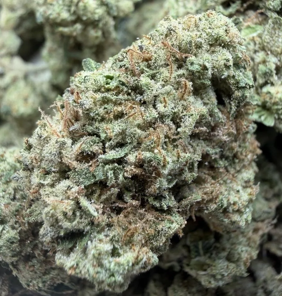 Mule Fuel x Runtz $59 OZ Living Soil Sungrown ☀️