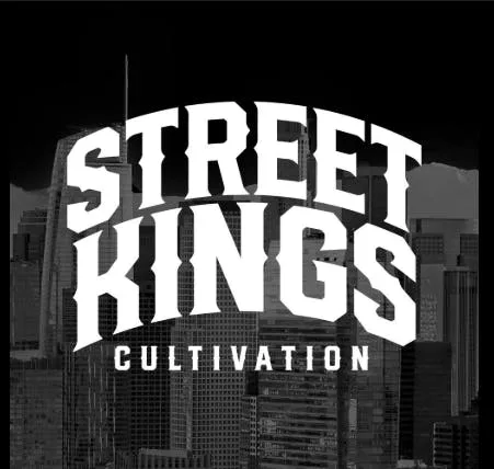 Street Kings - OG Pre Roll 1.5g (H)