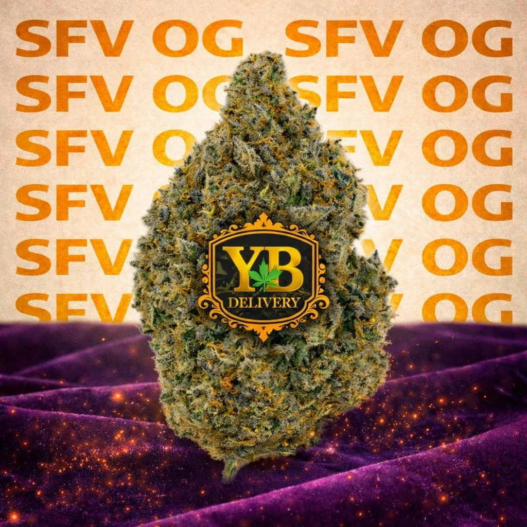 YB | SFV OG 32.30 (28G PREMIUM FLOWERS) INDICA