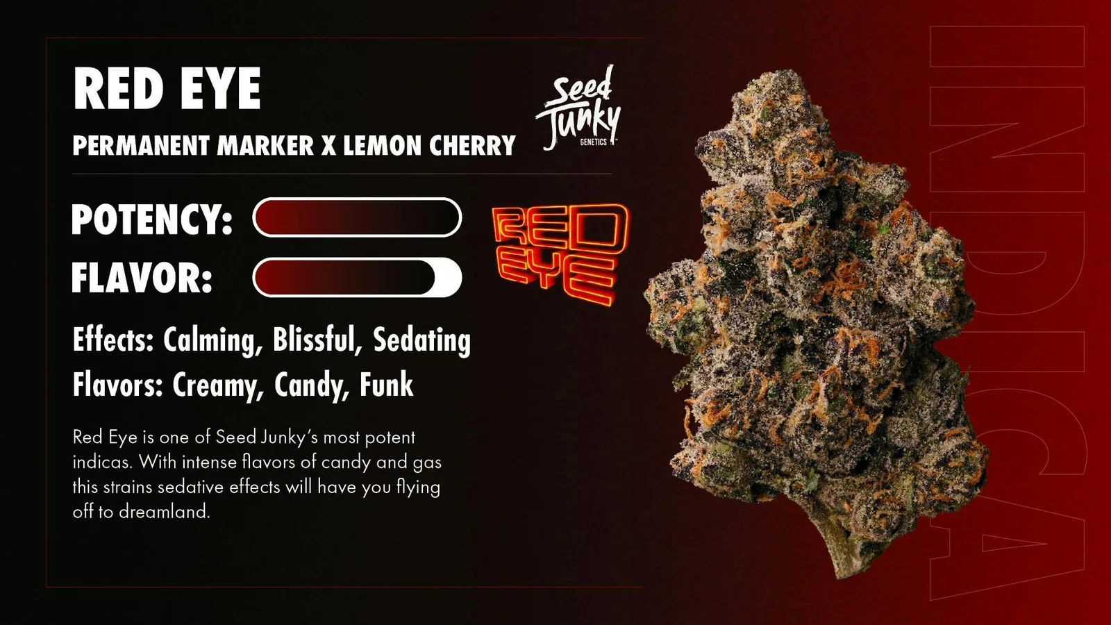 Seed Junky | Red Eye | Big Buds