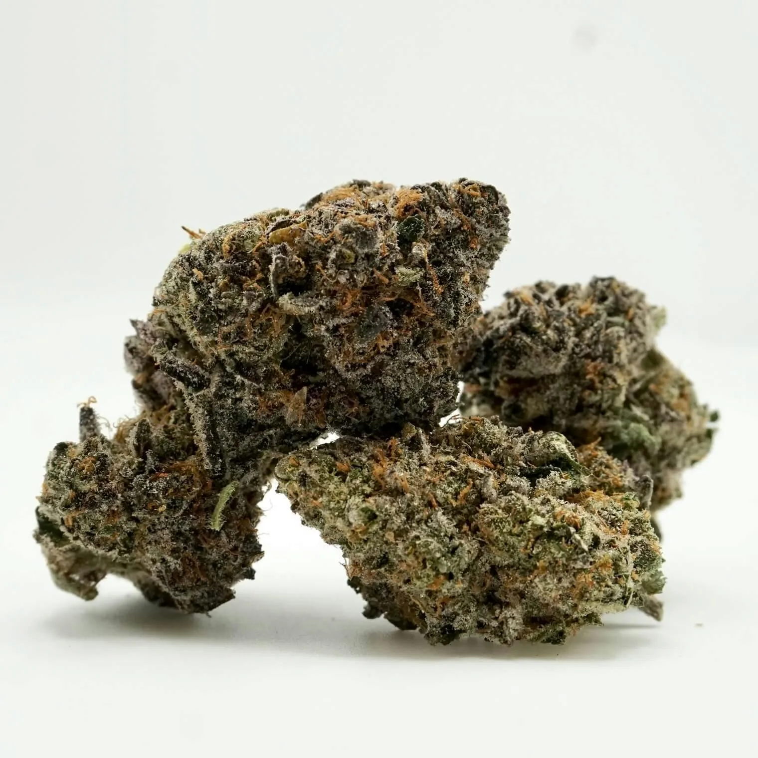 Pinnacle 28G Hybrid PREMIUM (indica leaning)