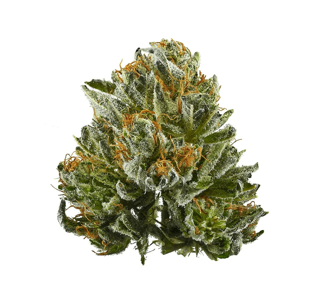 Bubba Kush 14g - Top Shelf Indoor Flower