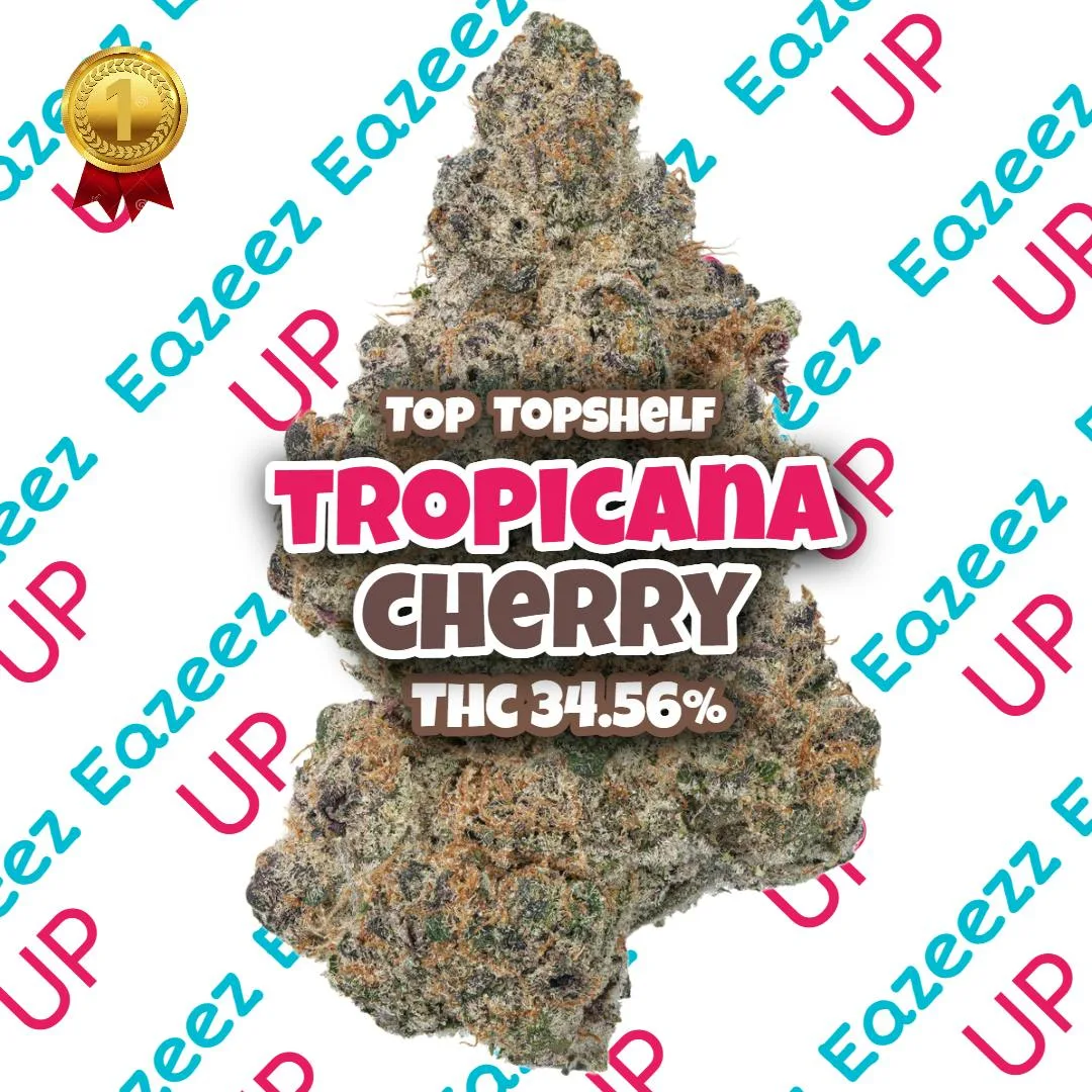 Tropicana Cherry - TOP Topshelf - (3.5g-1/8oz) - Hybrid