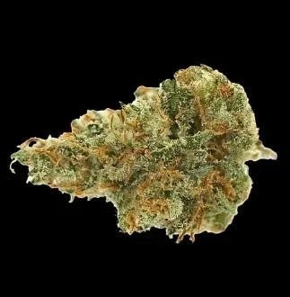 Holy Grail Kush (Hybrid) 24.92% THC TIER 4