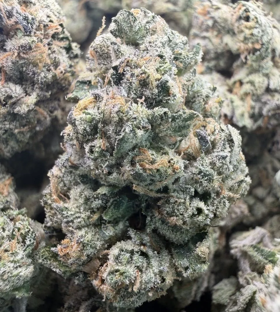 Zkittlez x Gelato 41 🟣 INDOOR $89 Half/$119 OZ